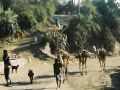 Kombolcha auf dem Weg von Dese zur Danakil-Ebene, Äthiopien-Rundreise mit öffentlichen Verkehrsmitteln