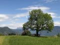 Urlaub in Südtirol - Landschafts-Idyll in Eppan-Perdonig