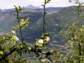 Frühling in Südtirol - Eppan-Perdonig