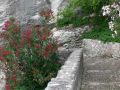 Malcesine, die Burg der Scaliger, Treppe zum Burghafen - Gardasee