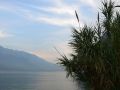 Riva del Garda - Uferpromenade am Nordufer des Gardasee