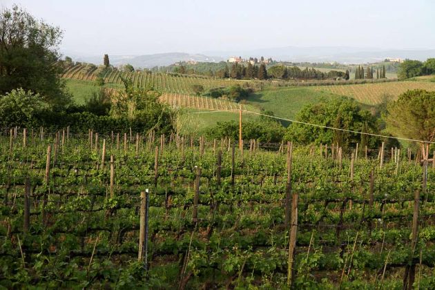 Urlaub in der Toskana - San Gimignano Urlaub in der Toskana - San Gimignano