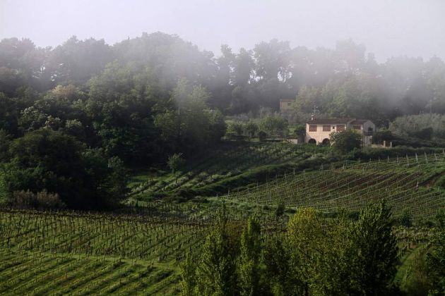 Urlaub in der Toskana - San Gimignano Urlaub in der Toskana - San Gimignano