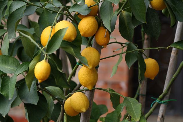 Urlaub in der Toskana - San Gimignano Urlaub in der Toskana - San Gimignano