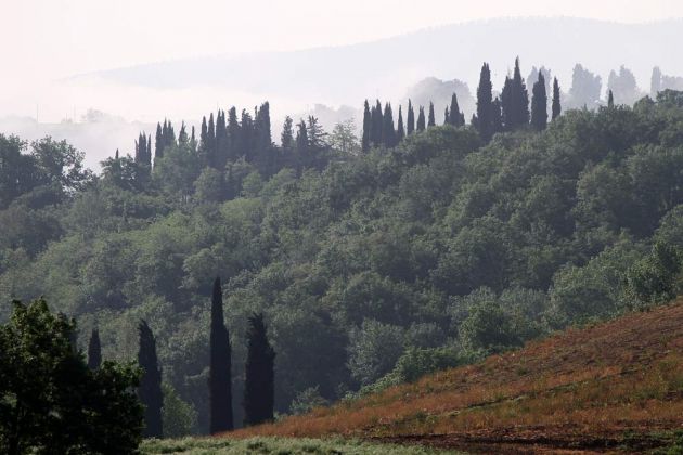 Urlaub in der Toskana - San Gimignano Urlaub in der Toskana - San Gimignano