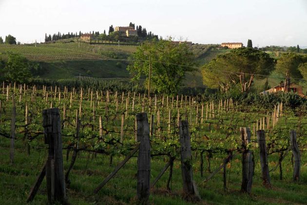 Urlaub in der Toskana - San Gimignano Urlaub in der Toskana - San Gimignano