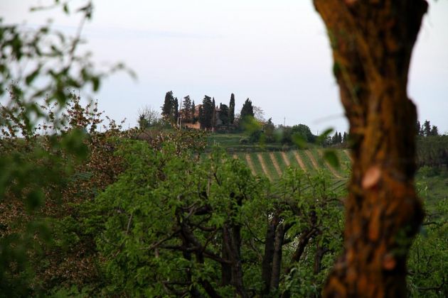 Urlaub in der Toskana - San Gimignano Urlaub in der Toskana - San Gimignano