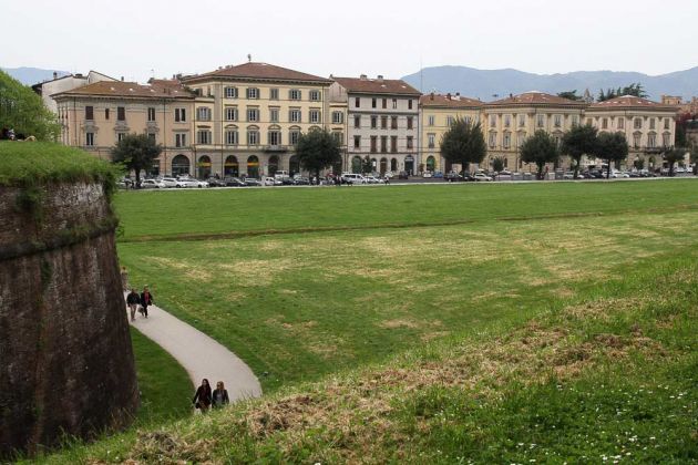 Lucca - die Viale Regina Margherita