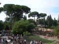 Der Palatino mit den Farnesinischen Gärten - Rom