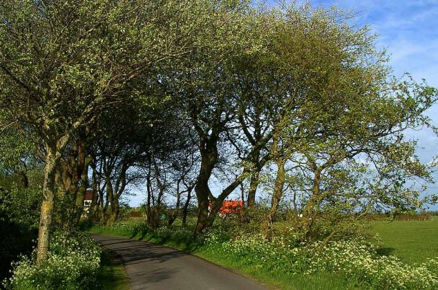 Formerum, Terschelling Formerum, Terschelling