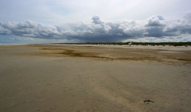 Sandstrand bei Hoorn, Terschelling Sandstrand bei Hoorn, Terschelling