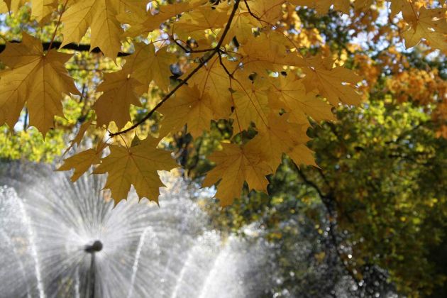 Peterhof bei St. Petersburg, Russland Peterhof bei St. Petersburg, Russland