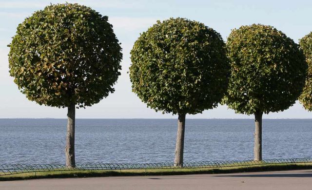 Peterhof bei St. Petersburg, Russland Peterhof bei St. Petersburg, Russland