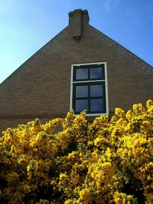 Formerum, Terschelling Formerum, Terschelling