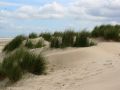 Urlaub Insel Terschelling Niederlande - Strand und Dünen