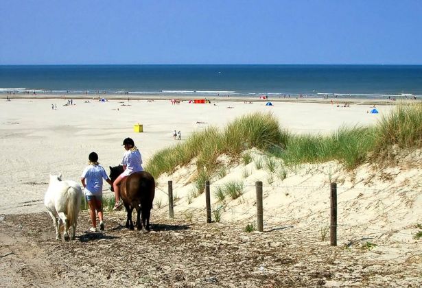 Urlaub Insel Terschelling Niederlande - Strand und Dünen Urlaub Insel Terschelling Niederlande - Strand und Dünen