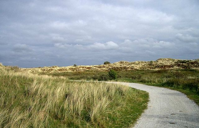 Urlaub Insel Terschelling Niederlande - Strand und Dünen Urlaub Insel Terschelling Niederlande - Strand und Dünen