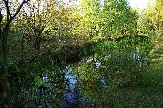 Urlaub Insel Terschelling Niederlande - Strand und Dünen Urlaub Insel Terschelling Niederlande - Strand und Dünen
