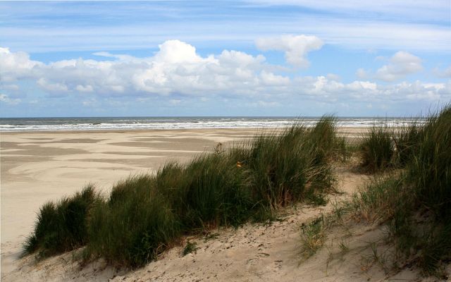 Urlaub Insel Terschelling Niederlande - Strand und Dünen Urlaub Insel Terschelling Niederlande - Strand und Dünen