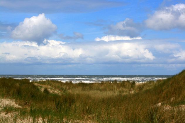 Urlaub Insel Terschelling Niederlande - Strand und Dünen Urlaub Insel Terschelling Niederlande - Strand und Dünen