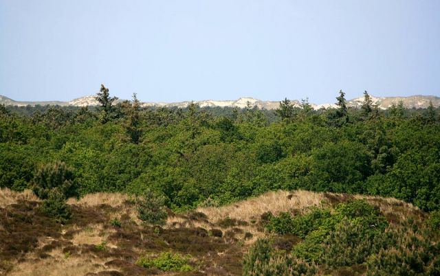Urlaub Insel Terschelling Niederlande - Strand und Dünen Urlaub Insel Terschelling Niederlande - Strand und Dünen