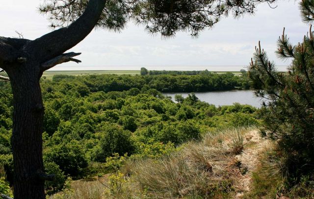 Urlaub Insel Terschelling Niederlande - Strand und Dünen Urlaub Insel Terschelling Niederlande - Strand und Dünen