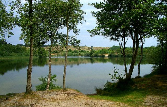 Urlaub Insel Terschelling Niederlande - Strand und Dünen Urlaub Insel Terschelling Niederlande - Strand und Dünen