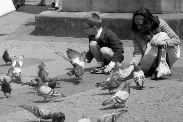 Bremen 1963 - Tauben füttern auf dem Marktplatz