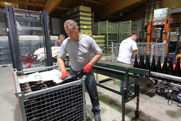 Weingut Faubel in Maikammer, Pfalz Weingut Faubel in Maikammer, Pfalz