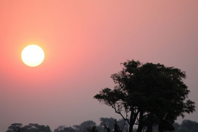 Sonnenuntergang im Chobe National Park - Botswana