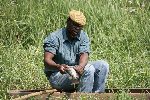 Ein einheimischer Fischer mit seinem Fang Im Okawango Delta Ein einheimischer Fischer mit seinem Fang Im Okawango Delta