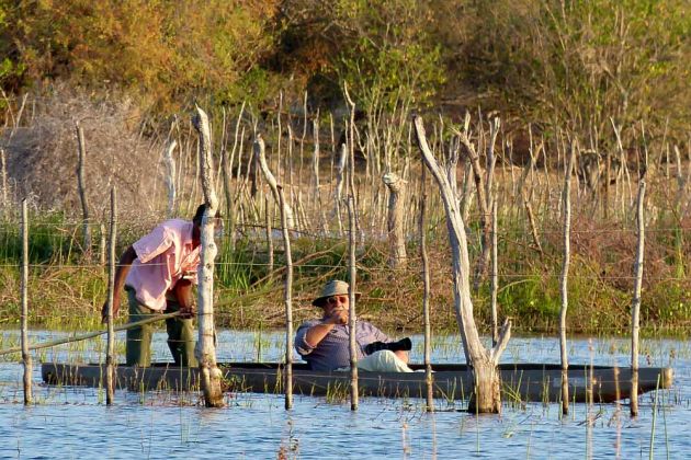 Im Okawango Delta in Botswana - unser Autor Helmut Möller ist im Mokoro auf Vogelpirsch Im Okawango Delta in Botswana - unser Autor Helmut Möller ist im Mokoro auf Vogelpirsch