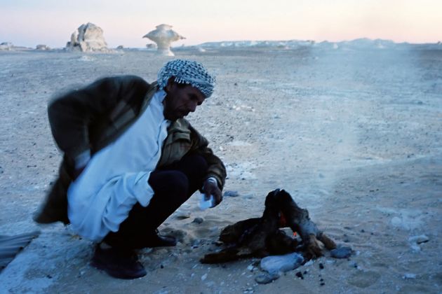 Weisse Wüste - ägyptische Sahara Weisse Wüste - ägyptische Sahara