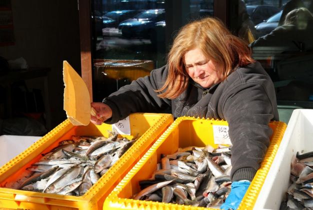 Kołobrzeg-Kolberg - Fischverkauf am Fischereihafen Kołobrzeg-Kolberg - Fischverkauf am Fischereihafen