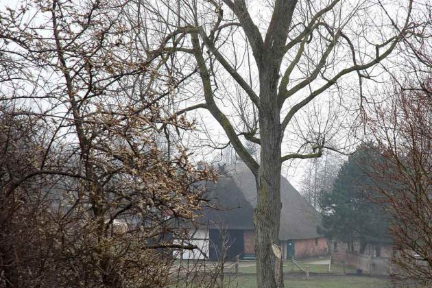 Das Ostseebad und Künstlerdorf Ahrenshoop auf dem Fischland Das Ostseebad und Künstlerdorf Ahrenshoop auf dem Fischland