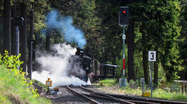 Harzer Schmalspur Bahnen - ein Sonderzug mit der Mallet-Lokomotive 99 5901 erreicht den Bahnhof in Schierke