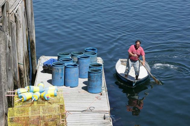 New Harbor, Midcoast Maine, New England New Harbor, Midcoast Maine, New England
