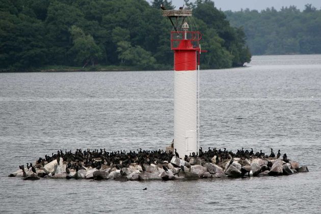 Thousand Islands Tour