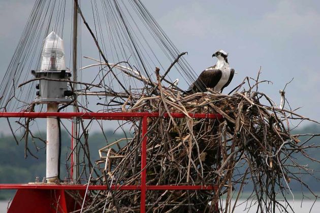Thousand Islands Tour Thousand Islands Tour