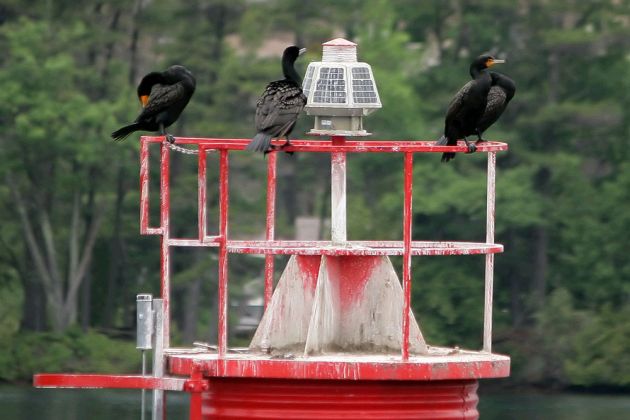 Thousand Islands Tour, Canada Thousand Islands Tour, Canada