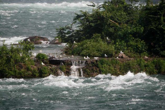 Niagara River oberhalb der Horseshoe Falls Niagara River oberhalb der Horseshoe Falls