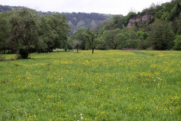 Creuzburg an der Werra - Thüringen Creuzburg an der Werra - Thüringen