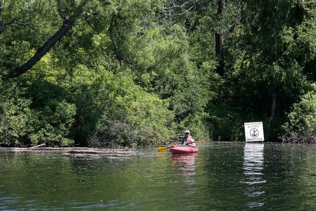 Im Toronto Island Park - Toronto in Ontario, Kanada Im Toronto Island Park - Toronto in Ontario, Kanada