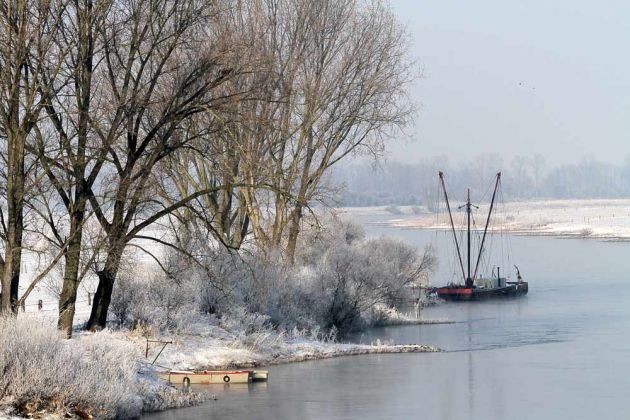 Schlüsselburg an der Mittelweser - Aalfänger der Flussfischer nördlich der Weserstaustufe Schlüsselburg an der Mittelweser - Aalfänger der Flussfischer nördlich der Weserstaustufe