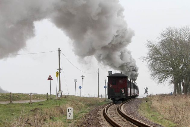 Mecklenburgische Bäderbahn Molli - der Dampfzug verlässt Kühlungsborn in Richtung Bad Doberan