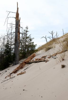 Wanderdünen - Góry Białe - im Słowiński National Park bei Łeba Wanderdünen - Góry Białe - im Słowiński National Park bei Łeba