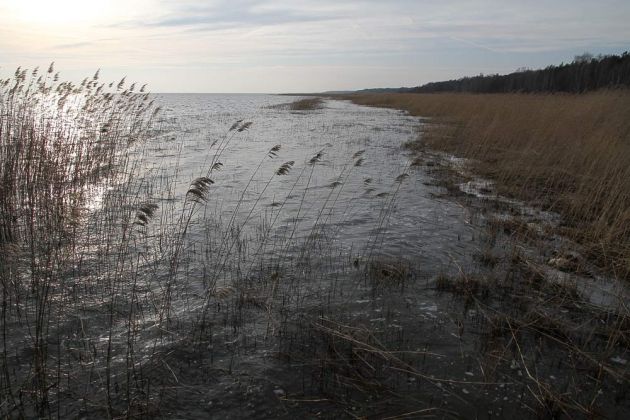 Jezioro Łebsko, der Lebasee - Słowiński National Park Jezioro Łebsko, der Lebasee - Słowiński National Park