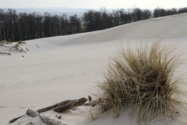 Wanderdünen - Góry Białe - im Słowiński National Park bei Łeba Wanderdünen - Góry Białe - im Słowiński National Park bei Łeba