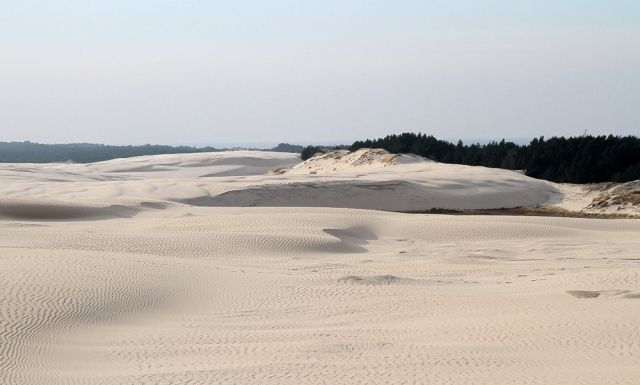 Wanderdünen - Góry Białe - im Słowiński National Park bei Łeba Wanderdünen - Góry Białe - im Słowiński National Park bei Łeba