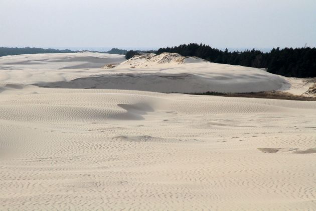 Wanderdünen - Góry Białe - im Słowiński National Park bei Łeba Wanderdünen - Góry Białe - im Słowiński National Park bei Łeba